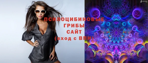 дживик Богданович