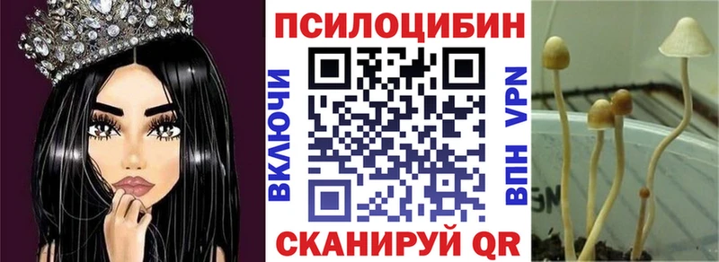 сайты даркнета какой сайт  дарнет шоп  Владимир  Галлюциногенные грибы GOLDEN TEACHER 